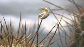 every minute alone, michael mayer remix...