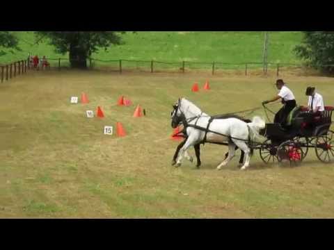 Fahrturnier am Ende meiner Straße