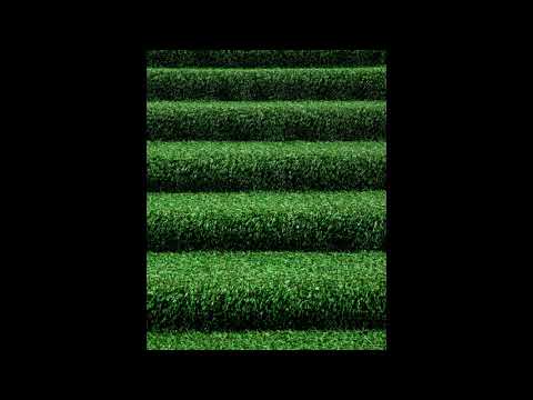 PAX Paradise Auxiliary Big Big World