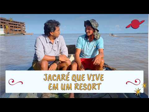 Conheça o jacaré que vive em um resort no Amazonas #parte2