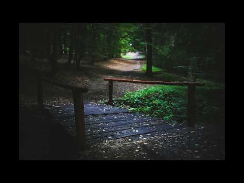 Sunshine - Ft. Franco Dolci