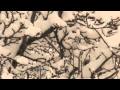 February 10 2010 Big Apple Blizzard
