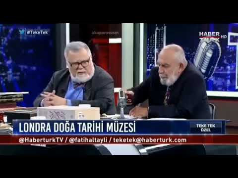 A.M Celal Şengör Zenci Çocuğa Ana Avrat Düz Gidiyor