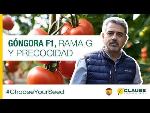 Video: GONGORA F1