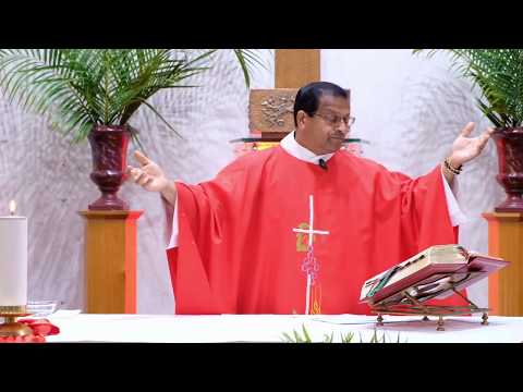 Mass on Palm Sunday (Year A), 5th April 2020