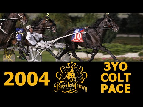 2004 Breeders Crown  - Western Terror - 3YO Colt Pace