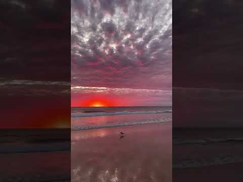 BOM DIA DE BENÇÃOS 💚 CÉLULA RENASCER ARACAJU SERGIPE 💚 VEM RENASCER 💚