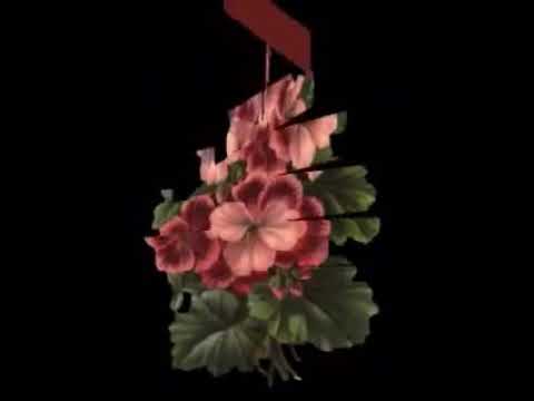  Good morning love gifs for whatsapp on the go