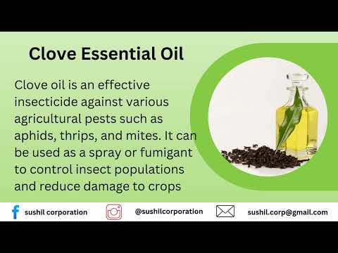 Clove Essential Oil, For Pharma, 100% Pure