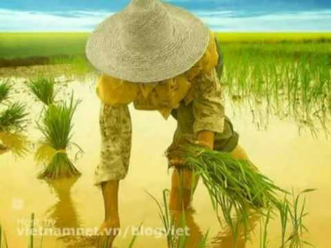Thể hiện bởi Trọng Phúc
