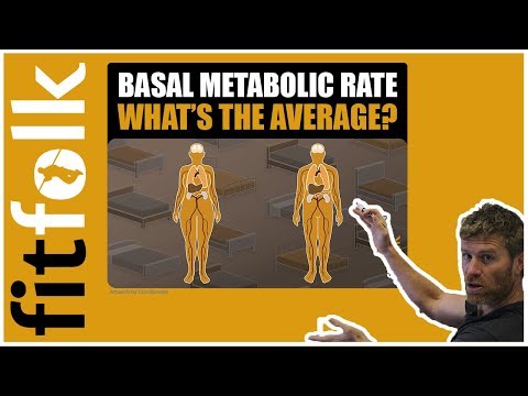 Basal Metabolic Rate (What's the Average BMR?)