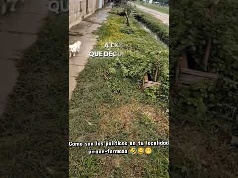 Los Políticos en mí localidad pirane-formosa 🤣😂😬