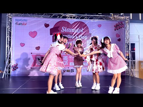 Siamdol Cafe - Siamdol Valentine's Day Party