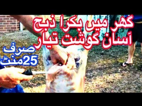 Easy Goat Slaughter Method | how to make goat meat at home | #goatmeat #bakraeid #Eid #qurbani