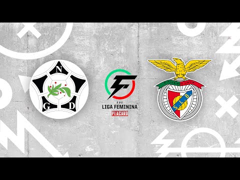 Liga Feminina Placard | Resumo | Novasemente GD 0 - 4 SL Benfica | Jornada 8