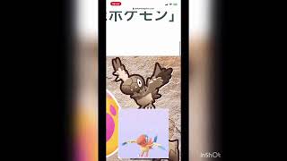 プロトーガ ポケットモンスター プリン アバゴーラ マホイップ プロトーガ ポケットモンスター プリン アバゴーラ マホイップ