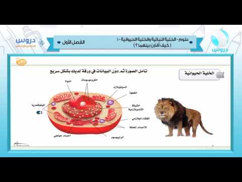 السادس الإبتدائي | الفصل الدراسي الأول 1438 | علوم | الخلية النباتية والخلية الحيوانية 1