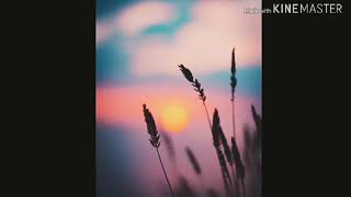 Download lagu Story wa  kekinian mp3