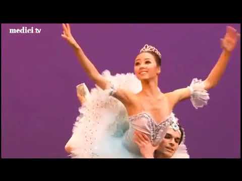 Elizaveta Kokoreva and Denis Zakharov - Blue bird pas de deux from the Sleeping Beauty - 2017