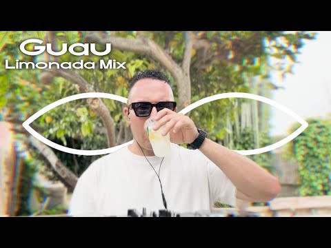 Guau - Limonada Mix