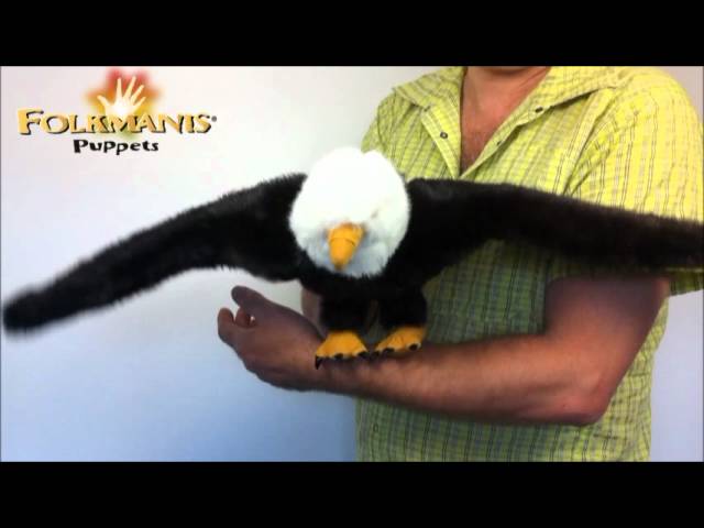 Video Teaser für 2233 Folkmanis EAGLE