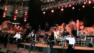 Joe Ely - Settle for Love (Live at Farm Aid 1990)