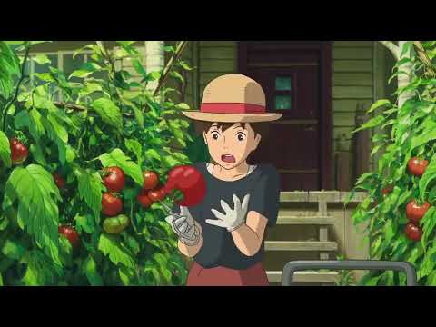 Itsumo nando demo (Flute). With some movie clips from Studio Ghibli