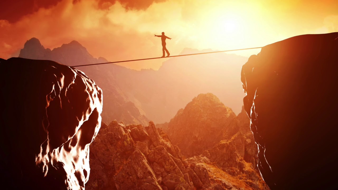 The Missing Link English von Roy Martina