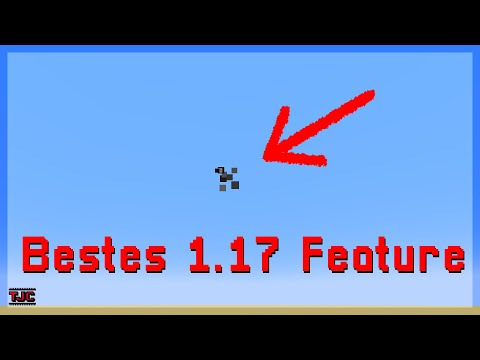 Mein LIEBLINGS-FEATURE der 1.17 kannst DU nicht SEHEN!