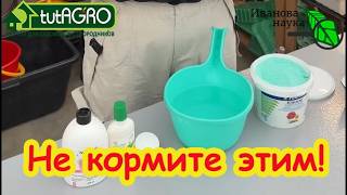 УБИЙЦА РАССАДЫ! Шокирующий рецепт от Виктории Карелиной. Вся правда о новой ?