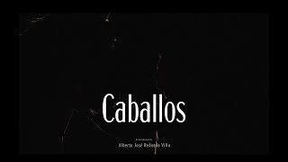TRAILER CABALLOS