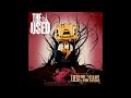The Bird And The Worm The Used