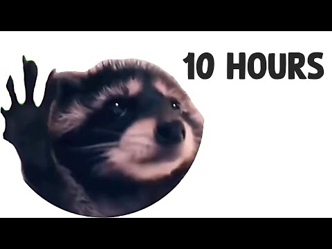 Dancing Raccoon (Pedro Pedro Pedro) 10 Hours