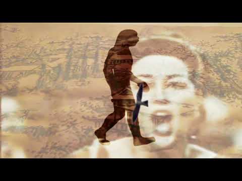 Video thumbnail for What the Kite Thinks