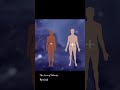 The Esoteric Reality Of Sex Gender Gigi Young