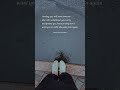 One Day You Will Meet Someone Motivation Quotes Status Sad Status