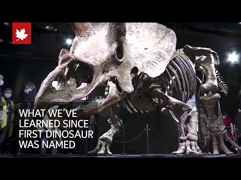 What we've learned since the first dinosaur was named