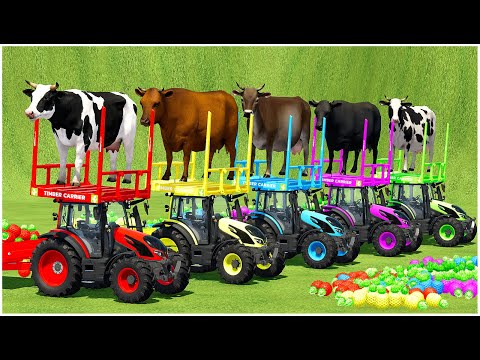 TRANSPORTING COWS & PINEAPPLES WITH VALTRA MINI TRACTORS! Farming Simulator 22