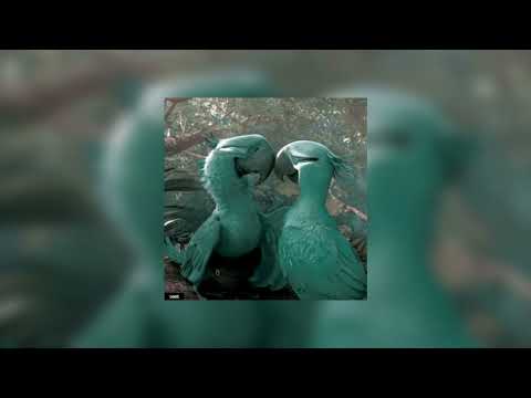 will.i.am & jamie foxx - hot wings (i wanna party) [sped up n reverb]