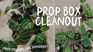 first youtube LIVE hangout! what the heck is in my prop boxes?