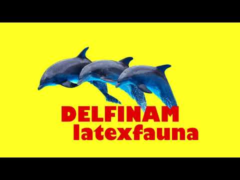 LATEXFAUNA DELFINAM / audio & lyrics