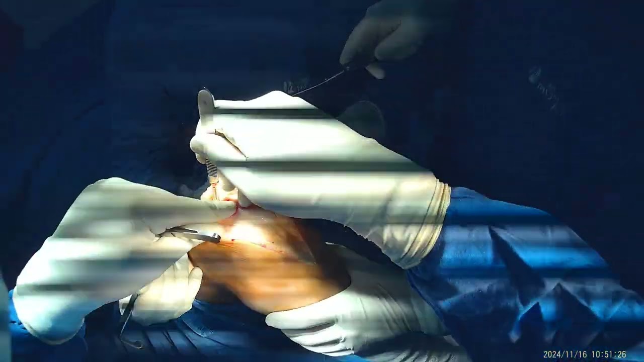 Jorge Luis Martínez Navarro-20