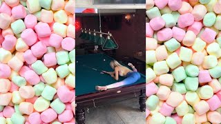 ?NEW?BigBank TikTok Challenge??#tiktok #tiktokchallenge #bigbank #challenge LINK BIO