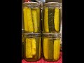 ZUCCHINI PICKLES Zesty Tangy Sweet Fiery Better Than Traditional Pickles