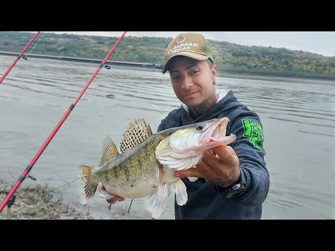 Pike fishing on the Danube at Pestisor and Bucatica over 40 features