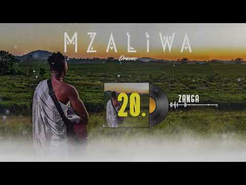DRIEMO - ZANGA (official audio visualizer) #Mzaliwa #malawi #afrobeat