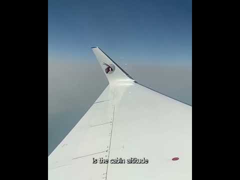 308434409 4699257483509954 3831818066575276286 n