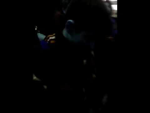 Crock vs Jeronimo vs kraken