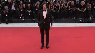 Adam Driver, Laura Dern, Noah Baumbach on the red carpet for Mariage Story in Venice