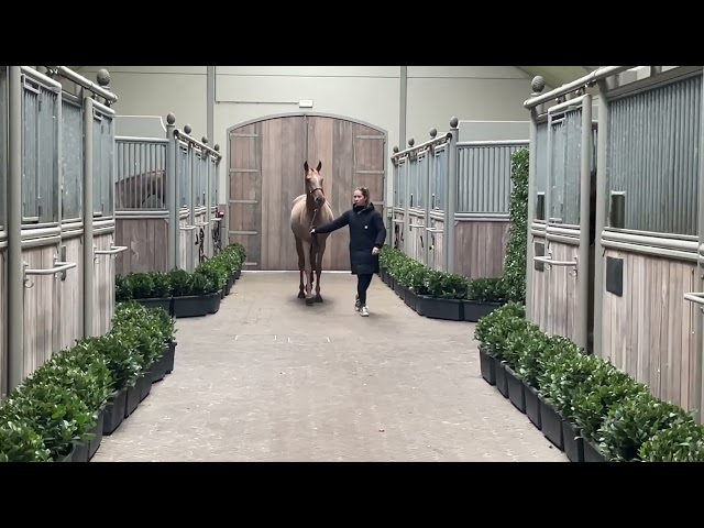 Walk & 360